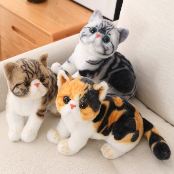 Mèo con nhỏ siêu cute